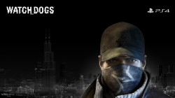 WDOG020_Wallpaper1366x768